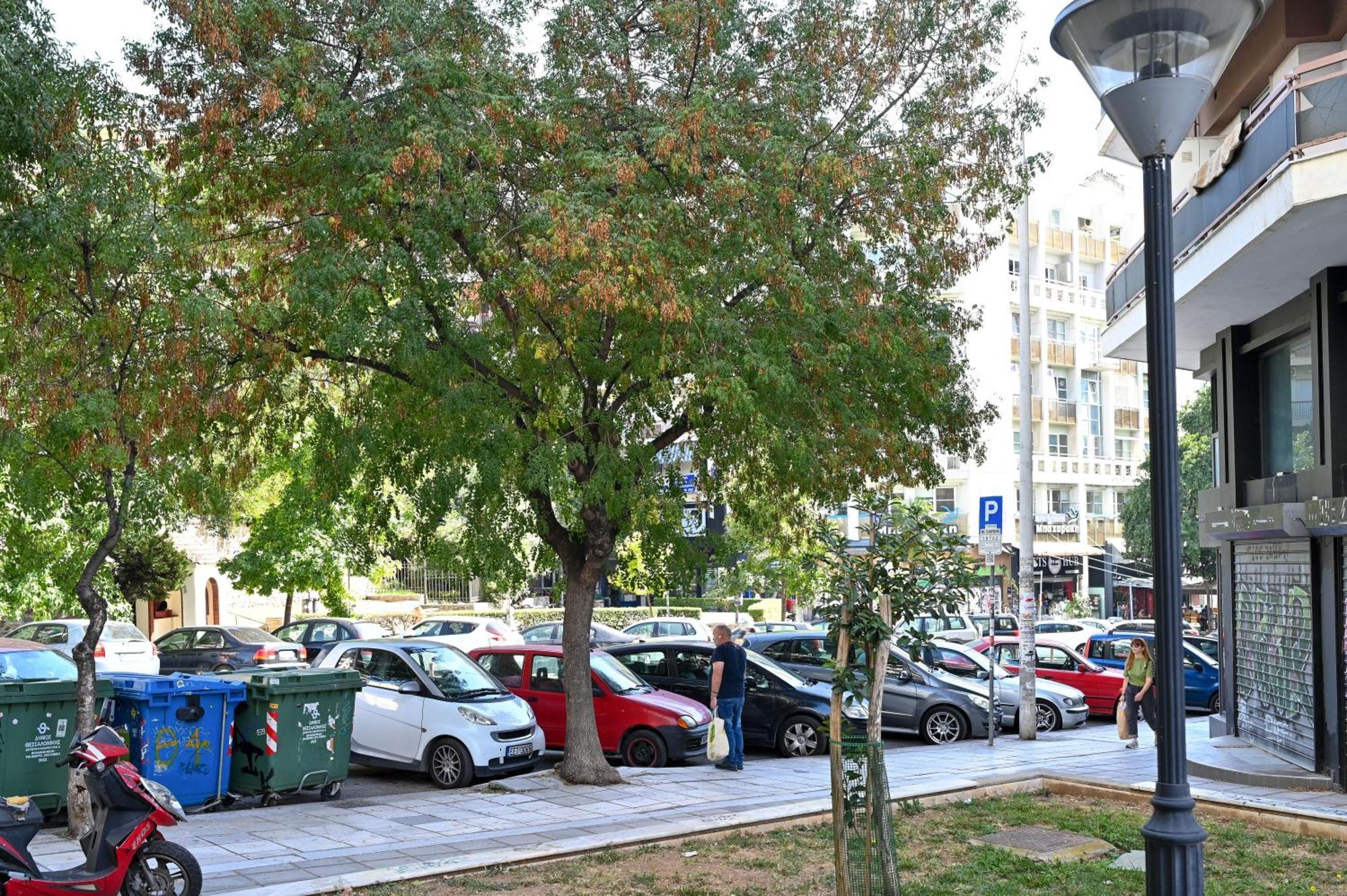 Thessaloniki Center Apartment On The Sunset Ngoại thất bức ảnh